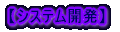 �y�V�X�e���J���z 